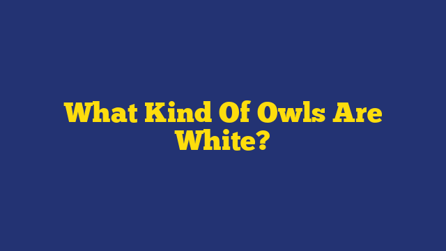 What Kind Of Owls Are White?