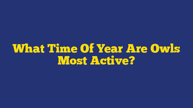 What Time Of Year Are Owls Most Active?