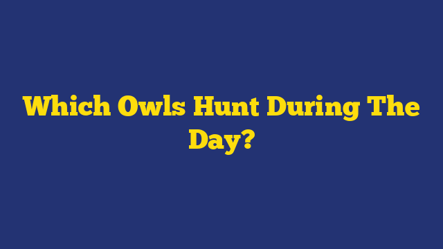 Which Owls Hunt During The Day?