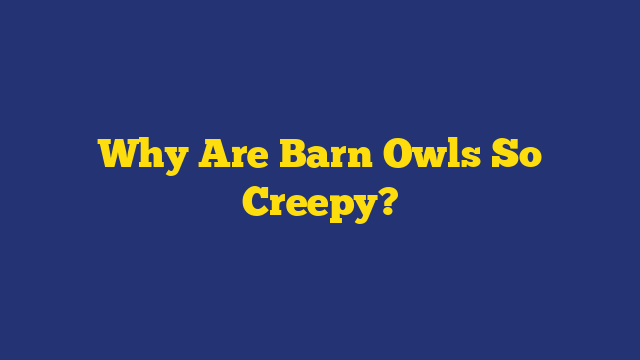 Why Are Barn Owls So Creepy?