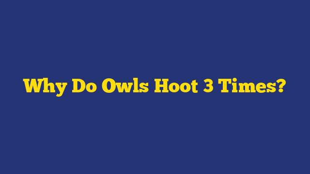 Why Do Owls Hoot 3 Times?