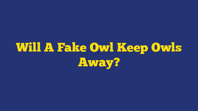 Will A Fake Owl Keep Owls Away?